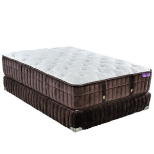 Colchón Magnus Roosevelt + Box